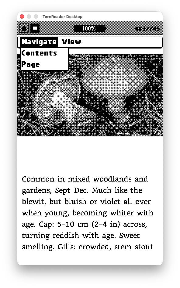 TernOS Firmware v0.5549