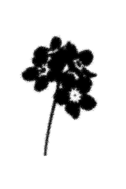 blur bloom
