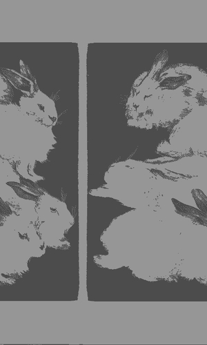 Rabbits
