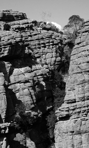 Cliff in the Grampians