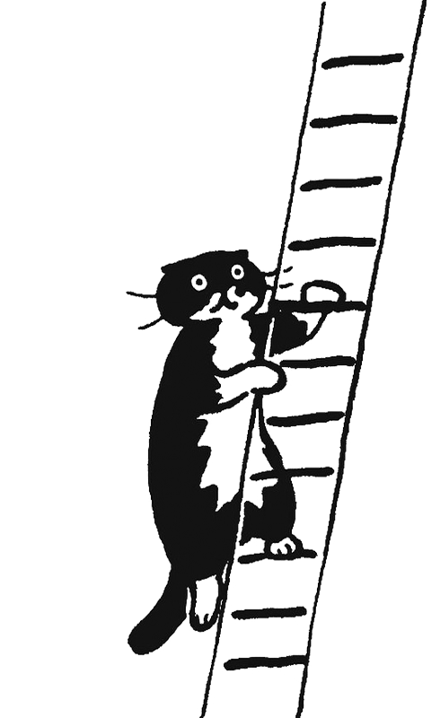 Black Cat Ladder