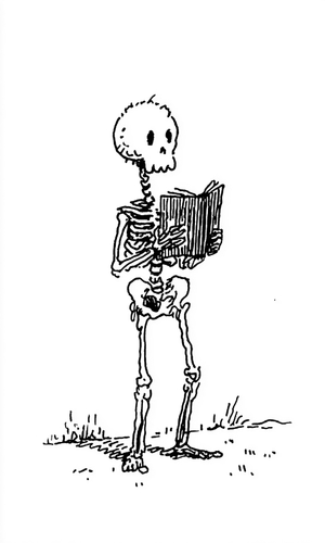 Minimal Skeleton Reading