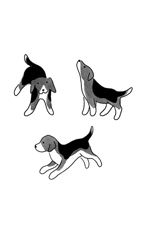 Beagles