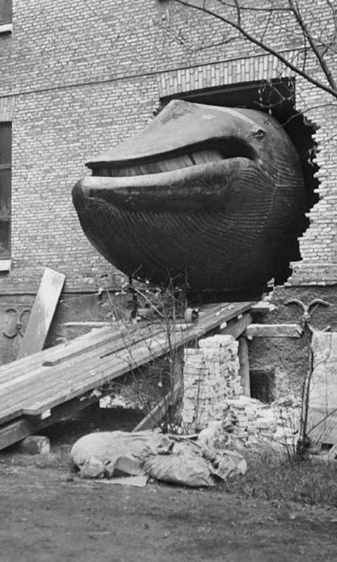Breakthrough Whale