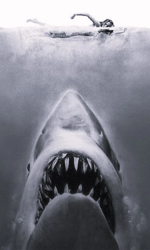 Jaws