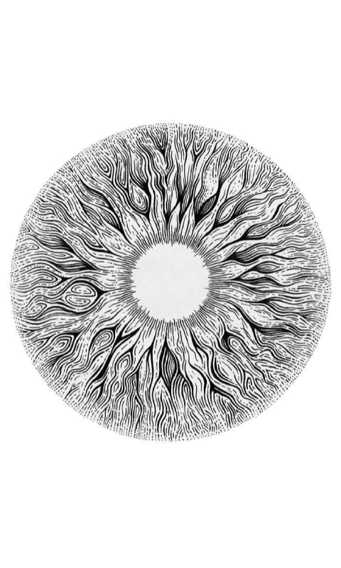 eye