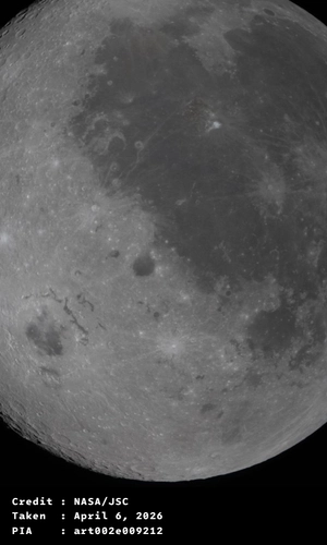 Orientale on Display