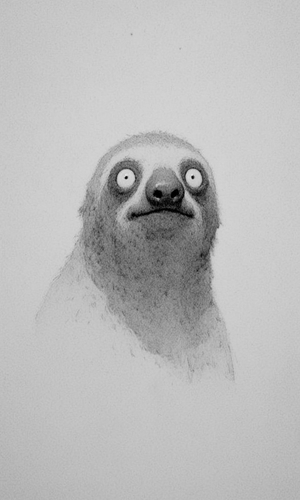 Sloth