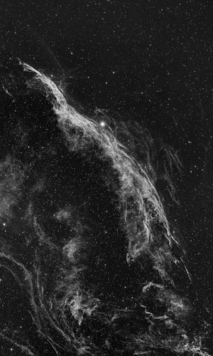 Wispy Nebula by Scott Lord