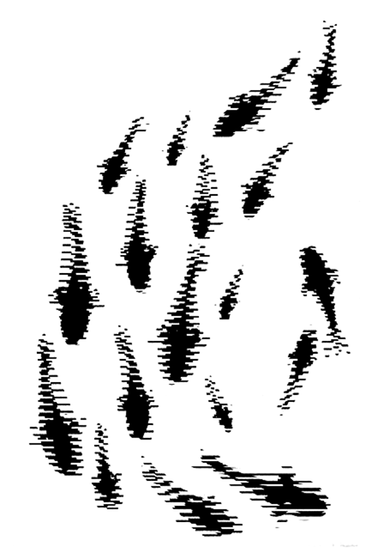 fish drift