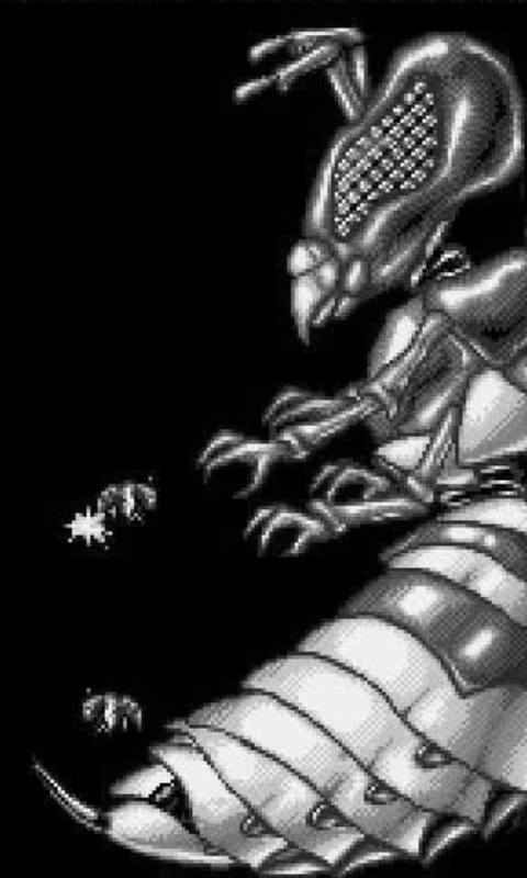 Apidya Wasp Boss