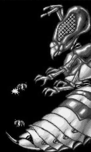 Apidya Wasp Boss