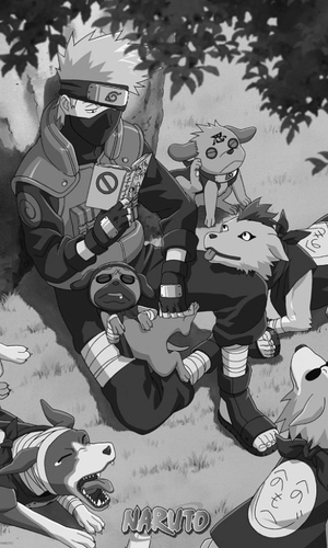 Kakashi reading - Naruto