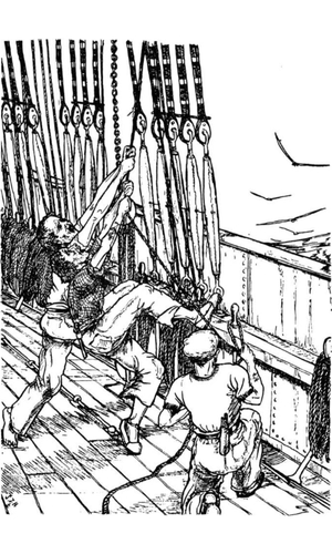 Shanties #14