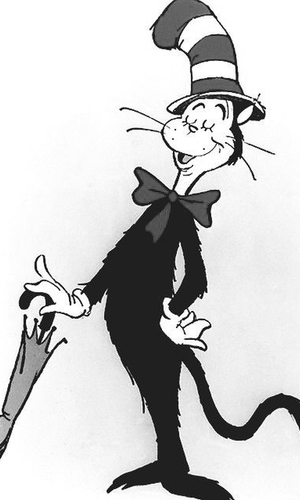 Cat in Hat 01