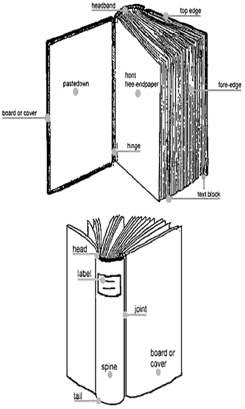 Anatomy of a Book