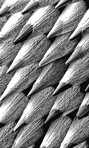 Kindle - Pencil Tips