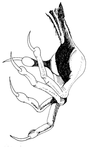 creepy hand