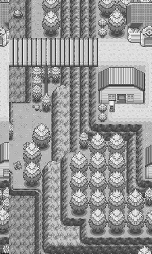 Pokémon River Town
