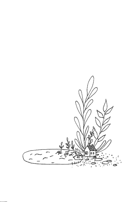 tiny house lake