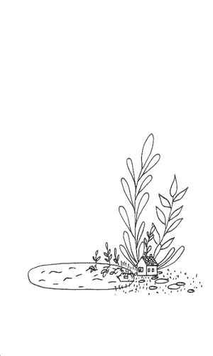 tiny house lake