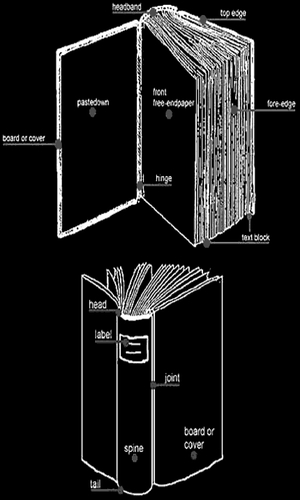 Anatomy of a Book