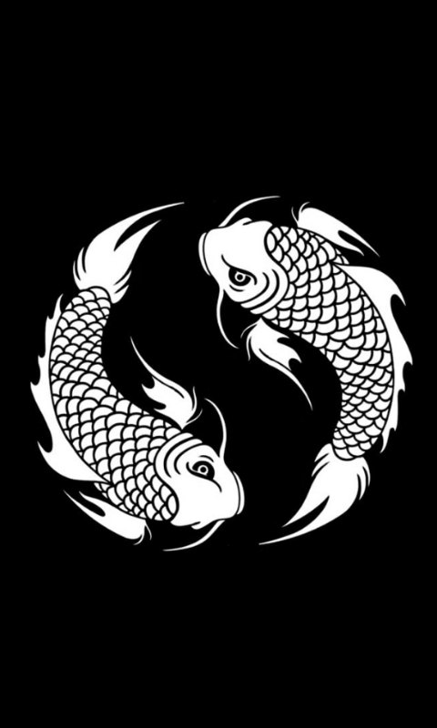Koi