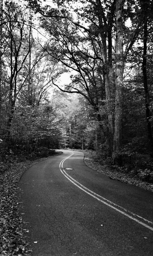 Road to Nowhere