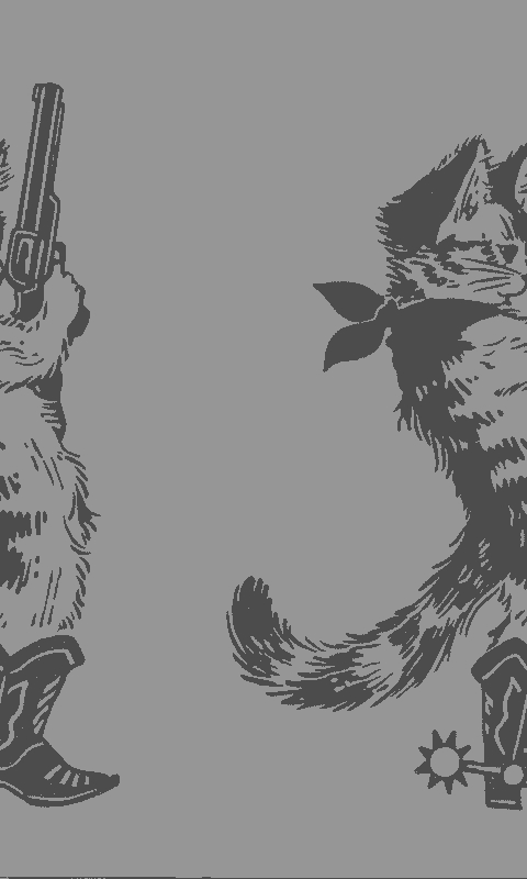 Cowboy Cat
