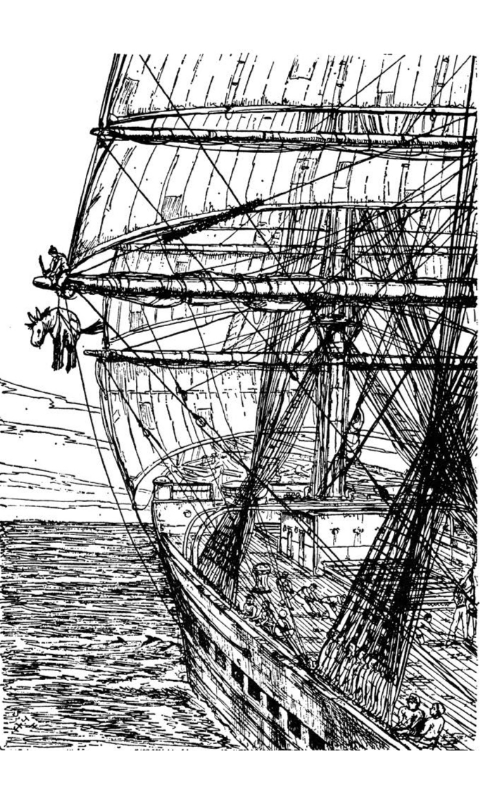 Shanties #13
