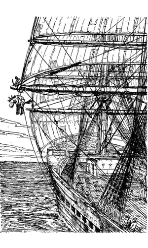 Shanties #13