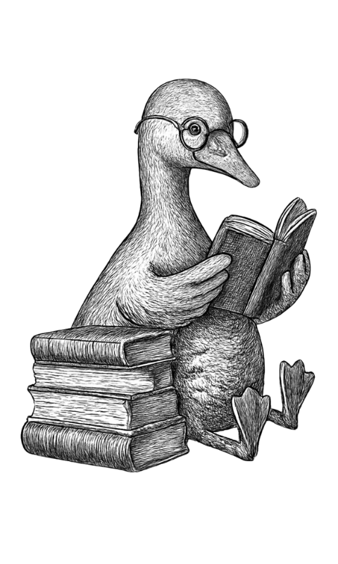 Silly Reading Goose