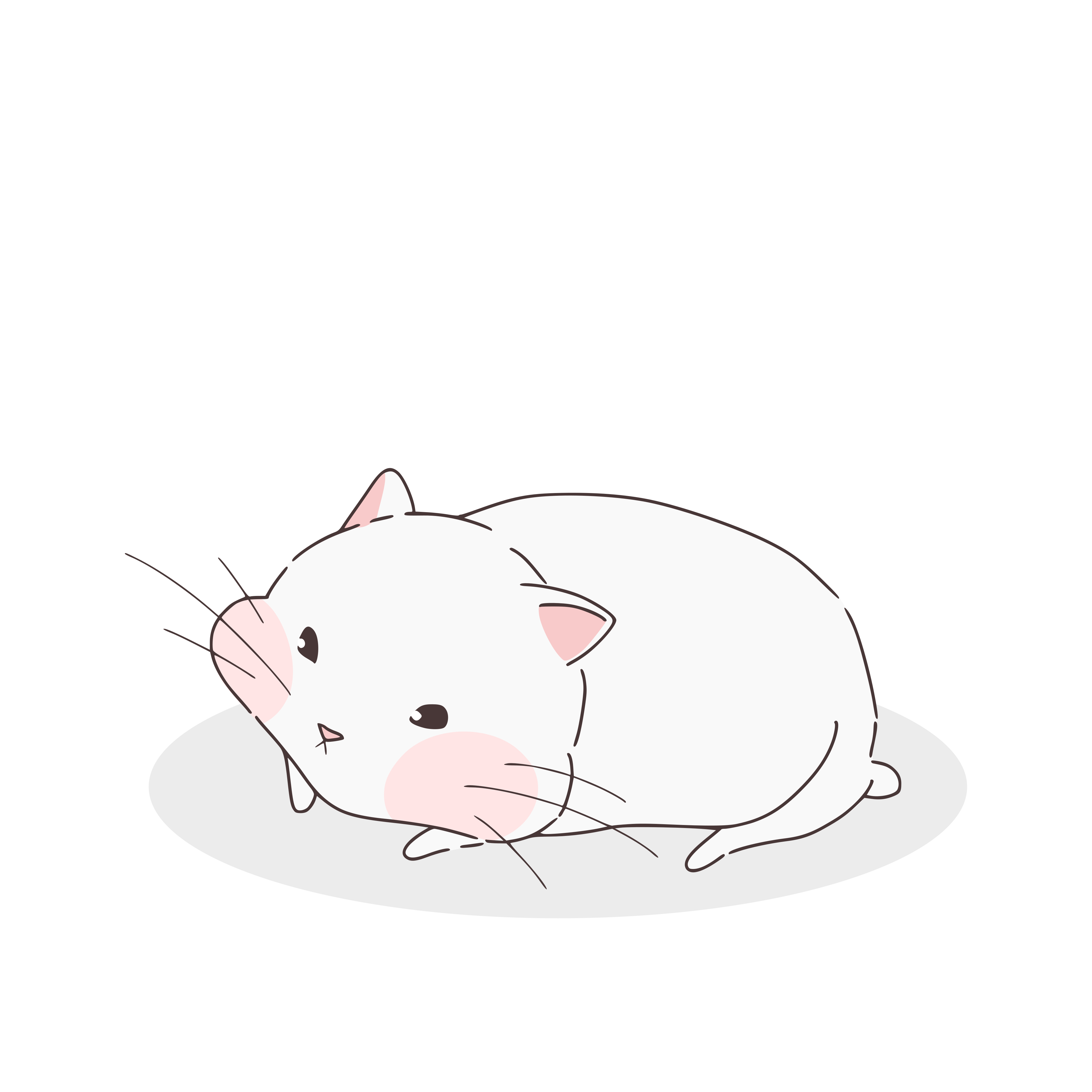 Cute Cat