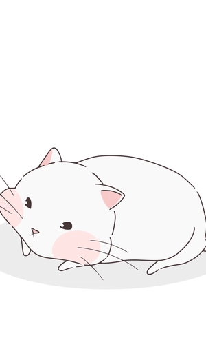 Cute Cat