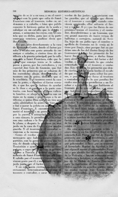 Little prince