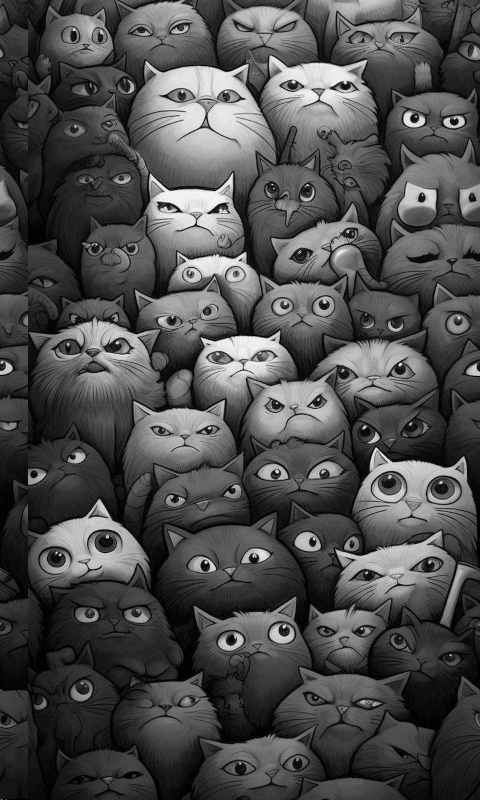 Cats