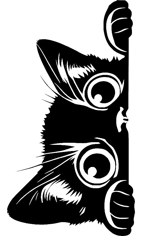 Kitty