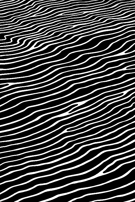 Dark Water