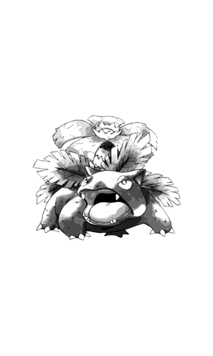 Venusaur - 1998 Illustration
