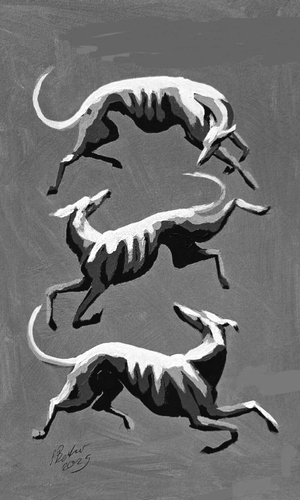 Greyhounds