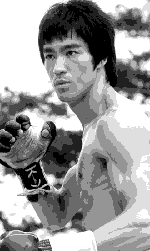 Bruce Lee Action