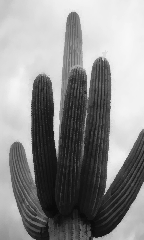 saguaro