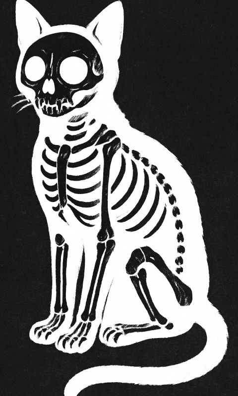 Catskeleton