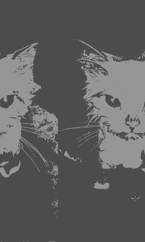 Cat Dark Theme