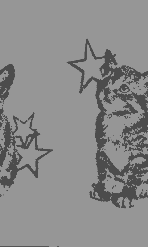 Star Cat