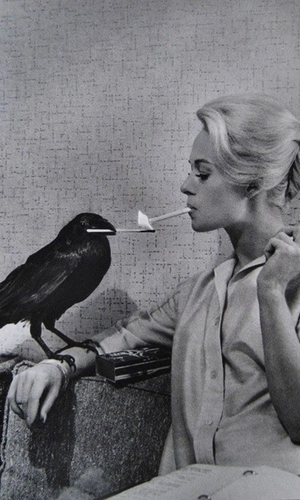 tippi hedren and crow - alfred hitchcock's The Birds