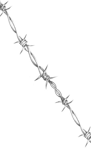 thorns