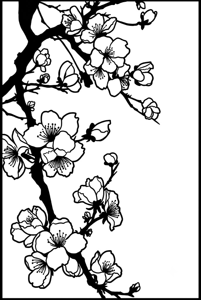 Sakura Flowers