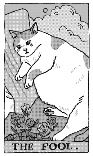 The Fool