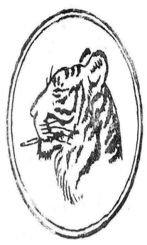 tiger with ciggy